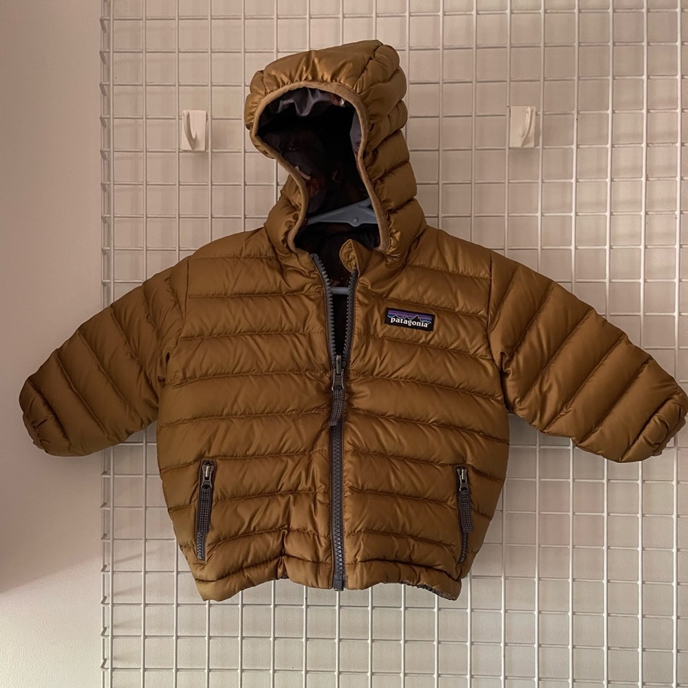 Patagonia Reversible Down Sweater Hoodie